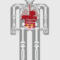 human-anatomy-pixel-art-8bit-internal-organs-and-skeleton-pixelate-16bit-old-game-computer-graphics-style-R46G8D.jpg