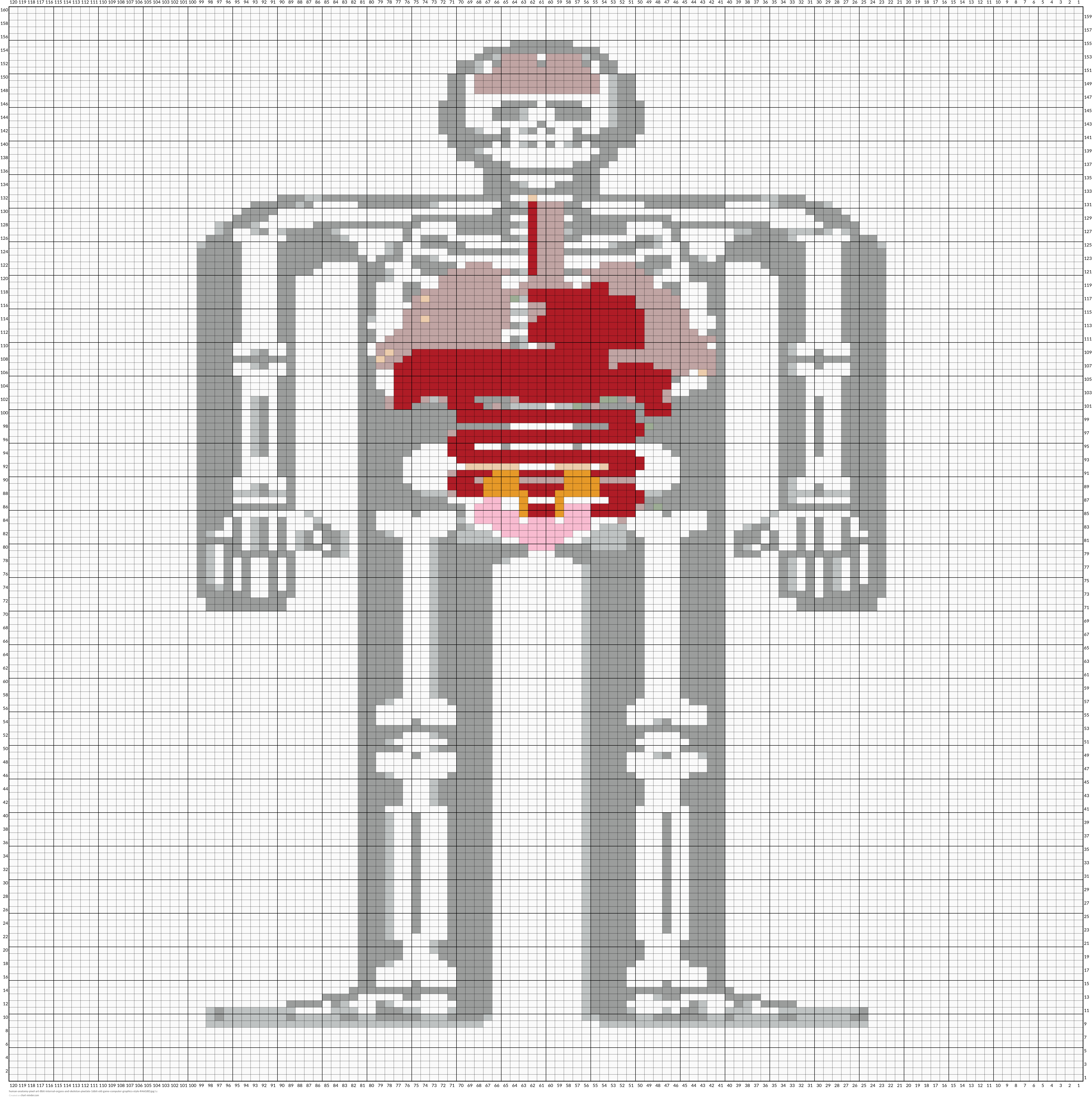 human-anatomy-pixel-art-8bit-internal-organs-and-skeleton-pixelate-16bit-old-game-computer-graphics-style-R46G8D.jpg