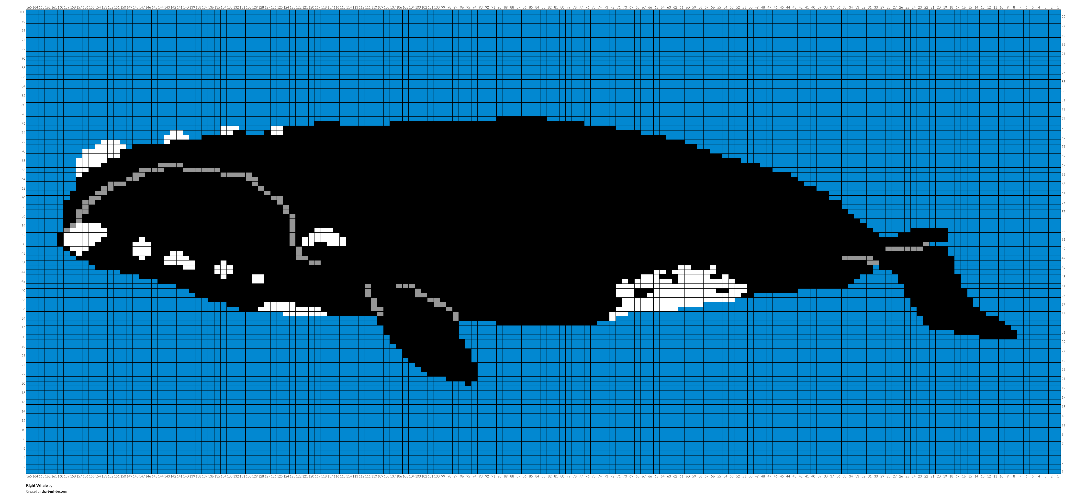 Right Whale