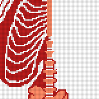 Copy of ribcage+spine