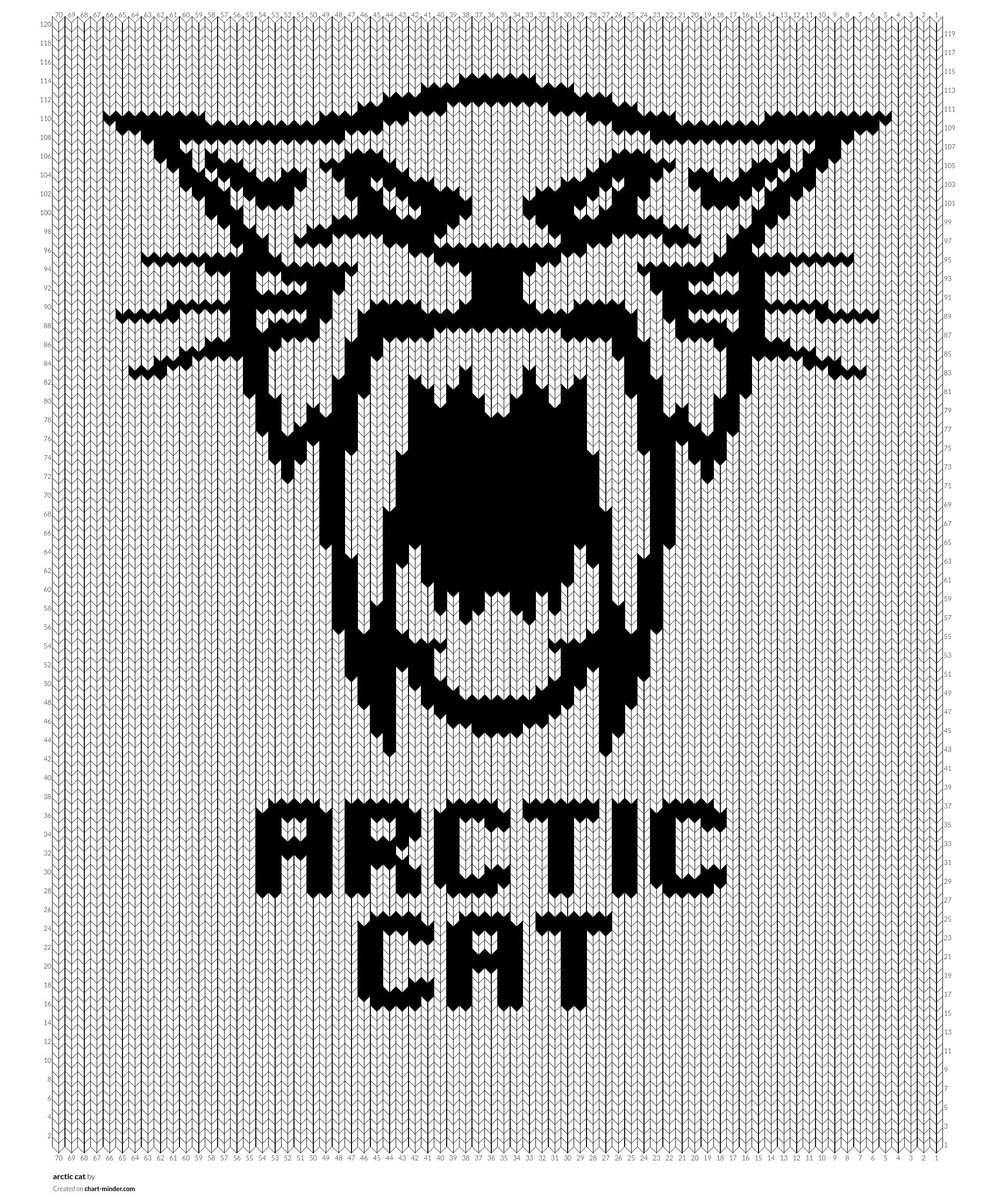 arctic cat