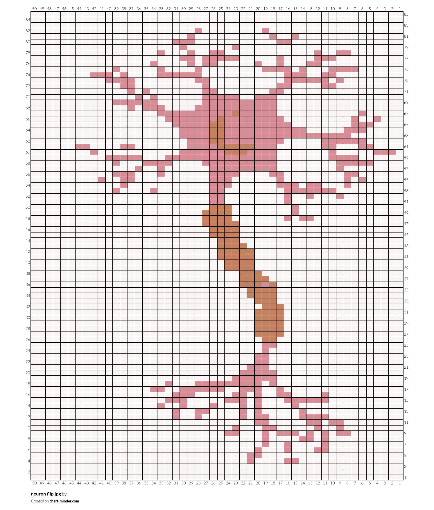 neuron flip.jpg