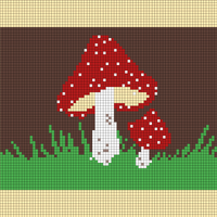 Mushroom - 21.01.25