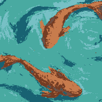 koi fish.jpg