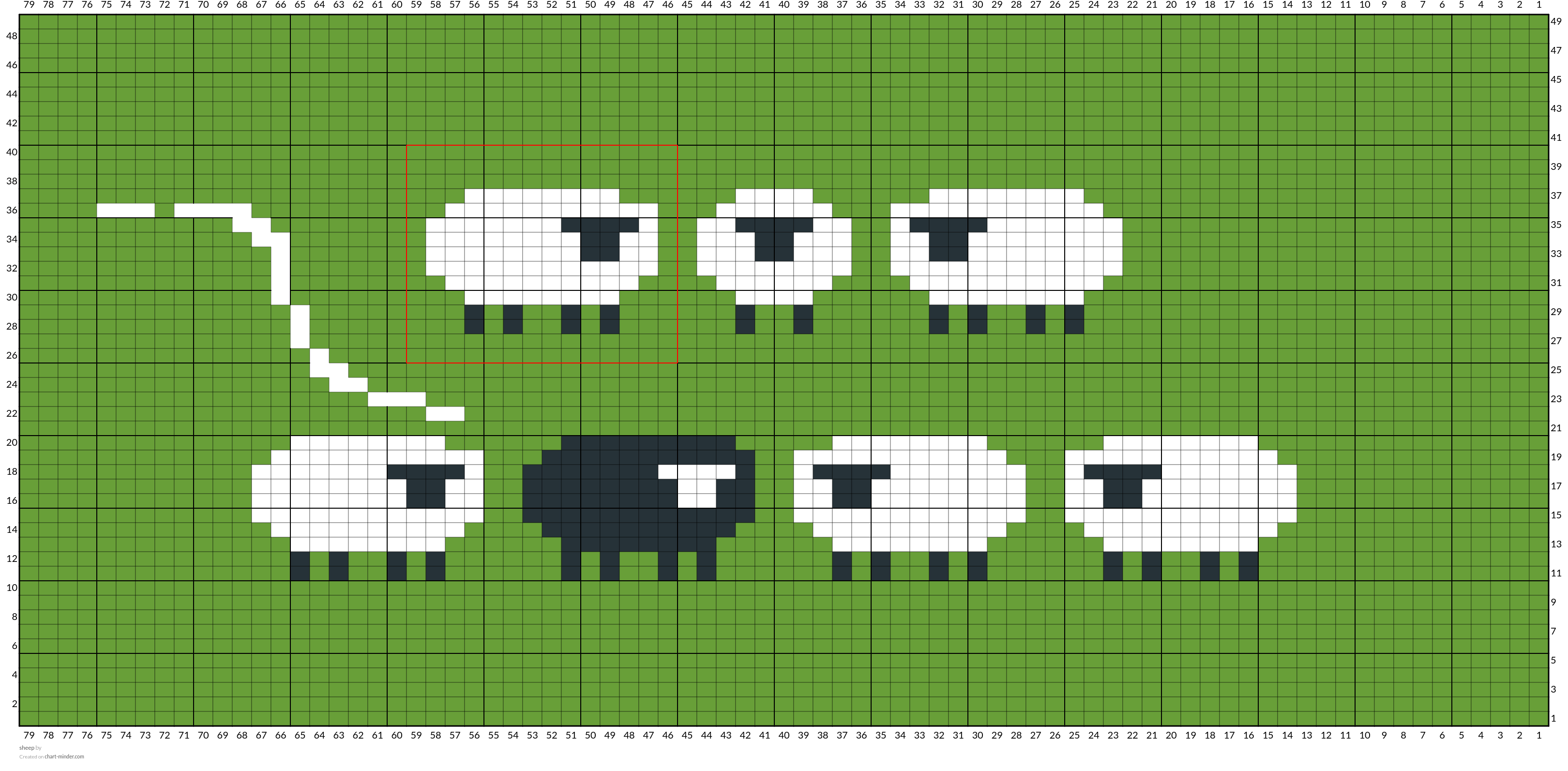 sheep 