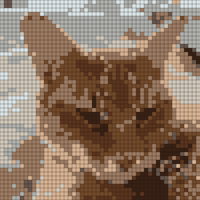 IMG_4487 Small.jpeg