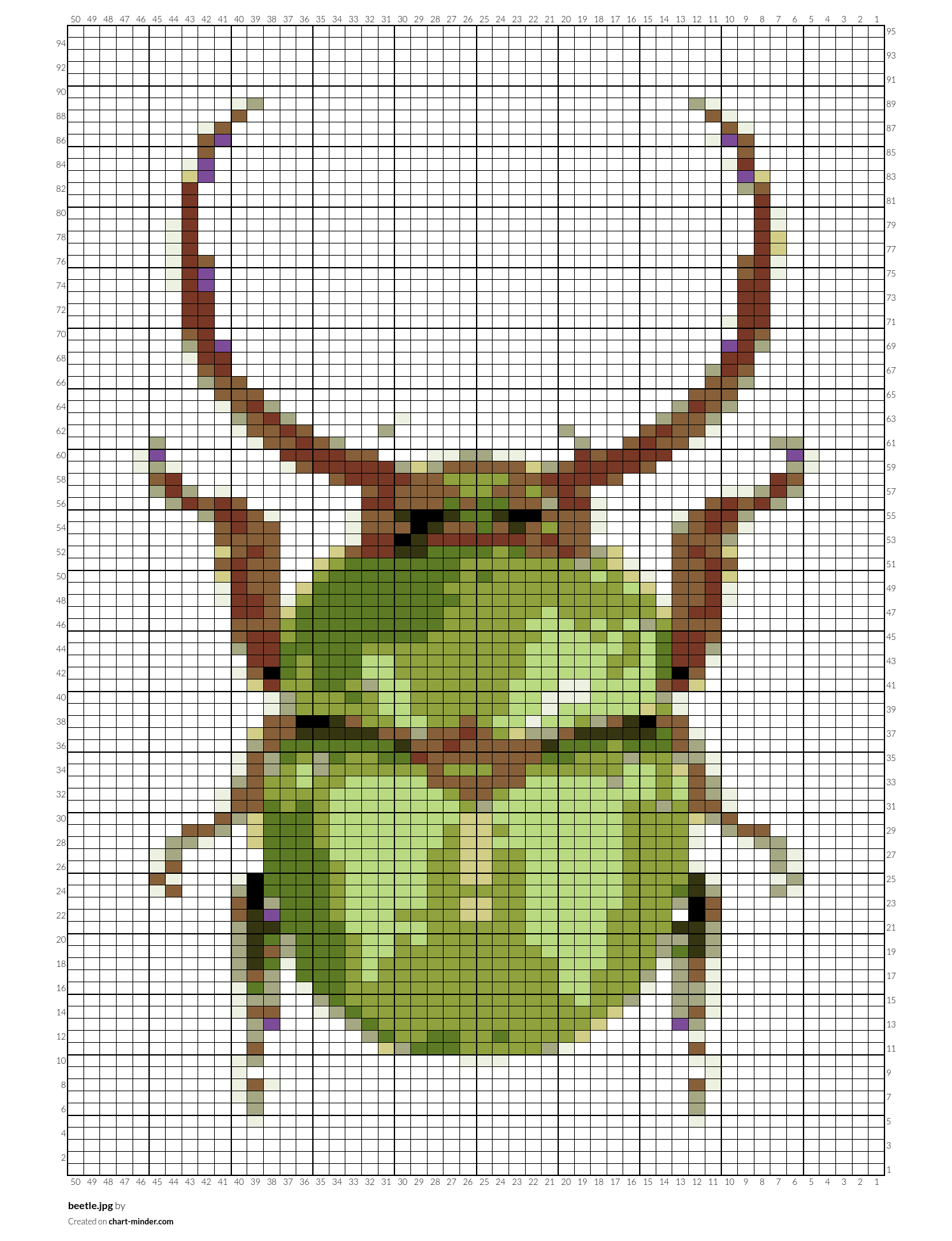beetle.jpg
