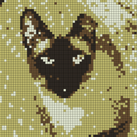 IMG_0709.jpeg