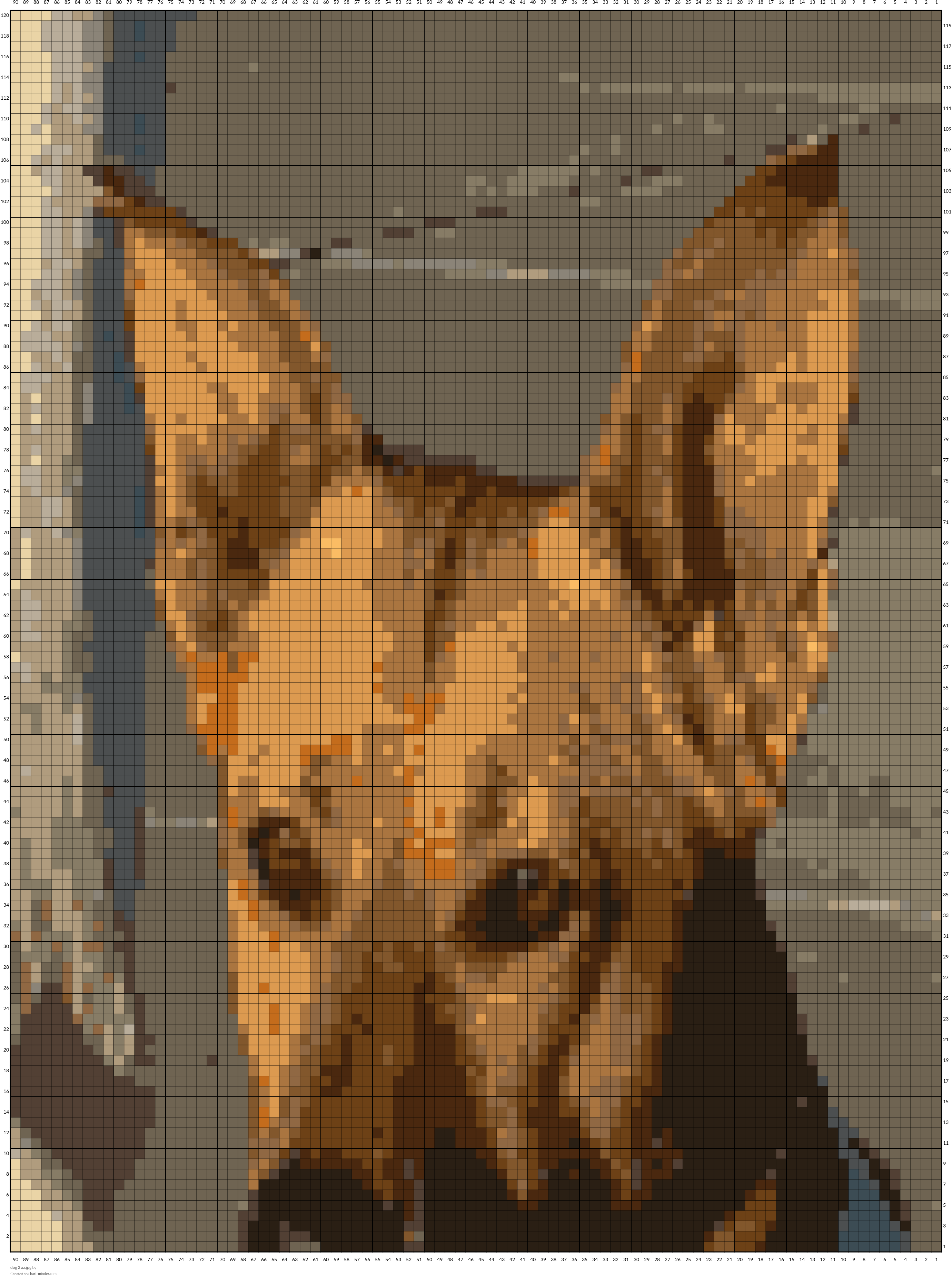 dog 2 az.jpg