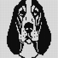 Basset hound