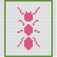 Ant