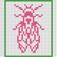 Cicada