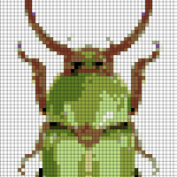 Copy of Copy of beetle.jpg