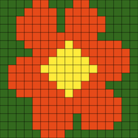 Nasturtium Flower