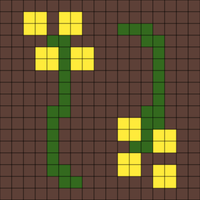 Buttercups