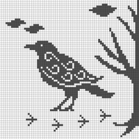 Copy of Copy of Copy of Copy of Crow