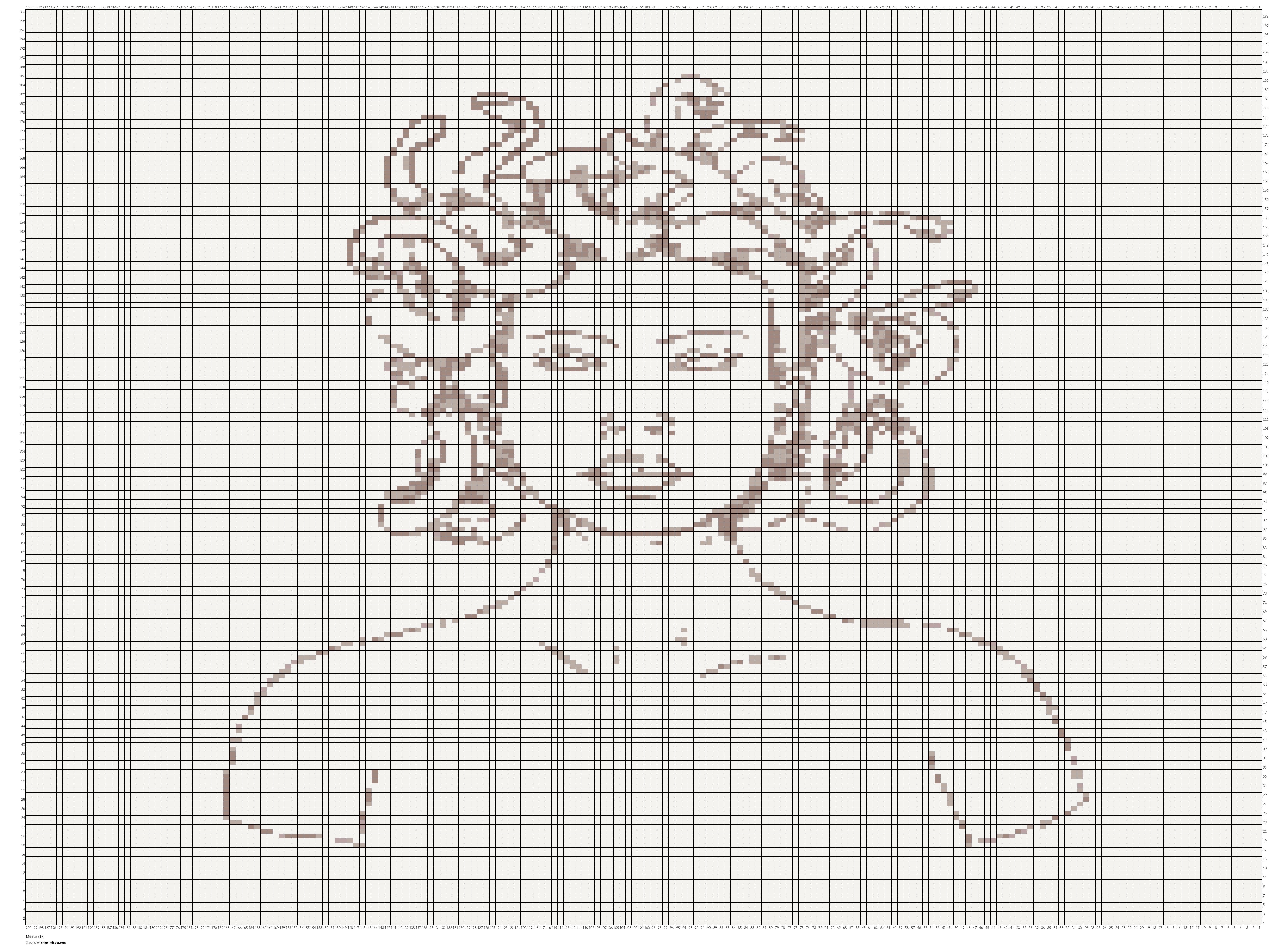 Medusa