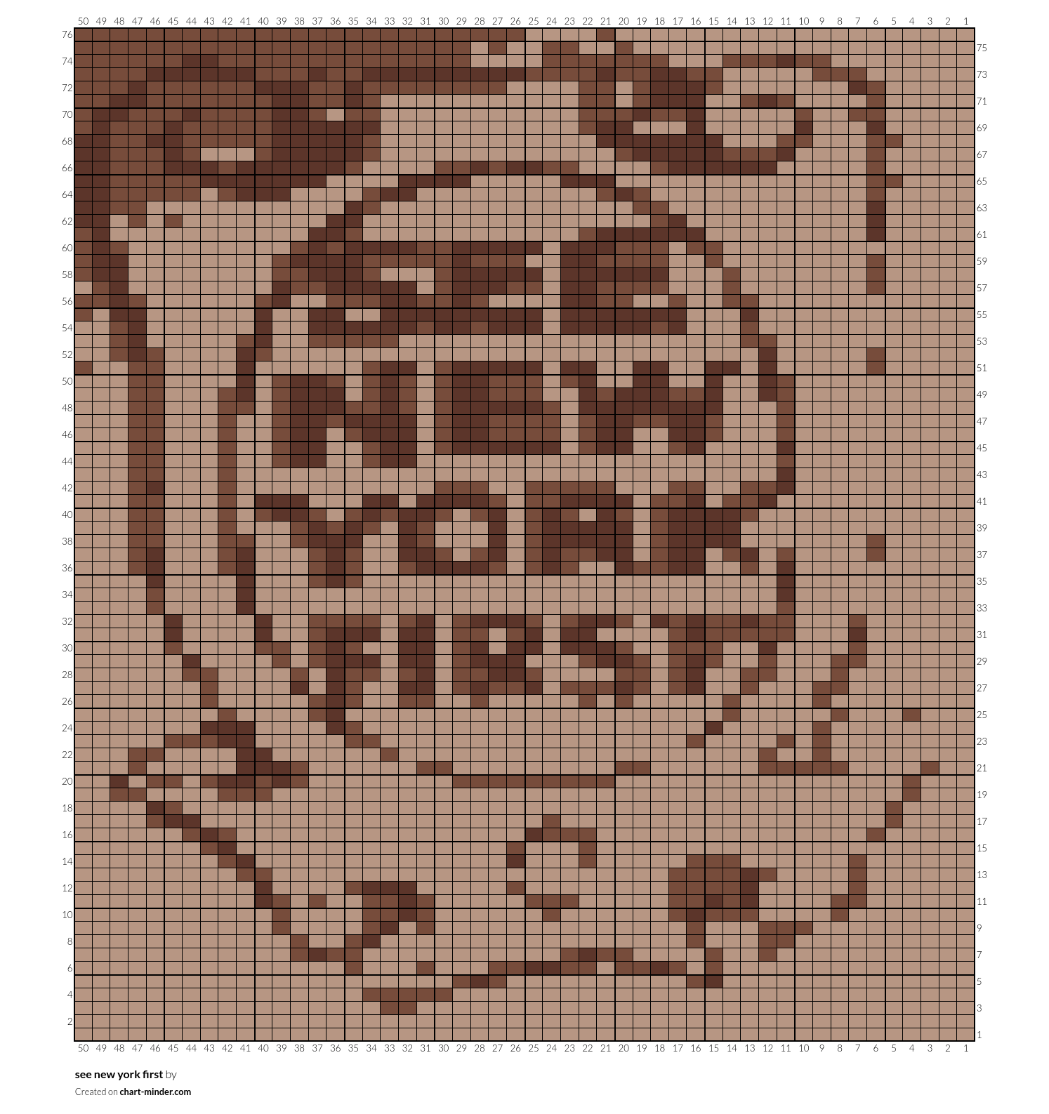see new york first 