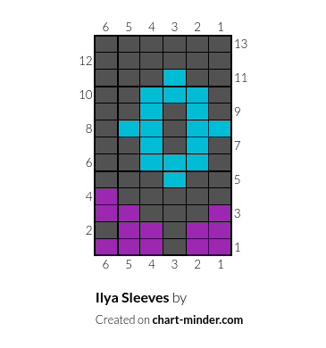 Ilya Sleeves
