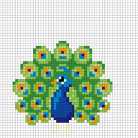 peacock