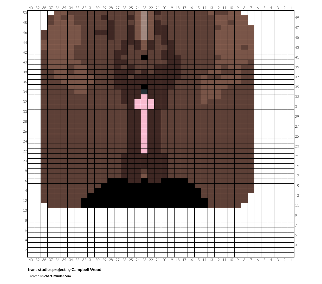 trans studies project