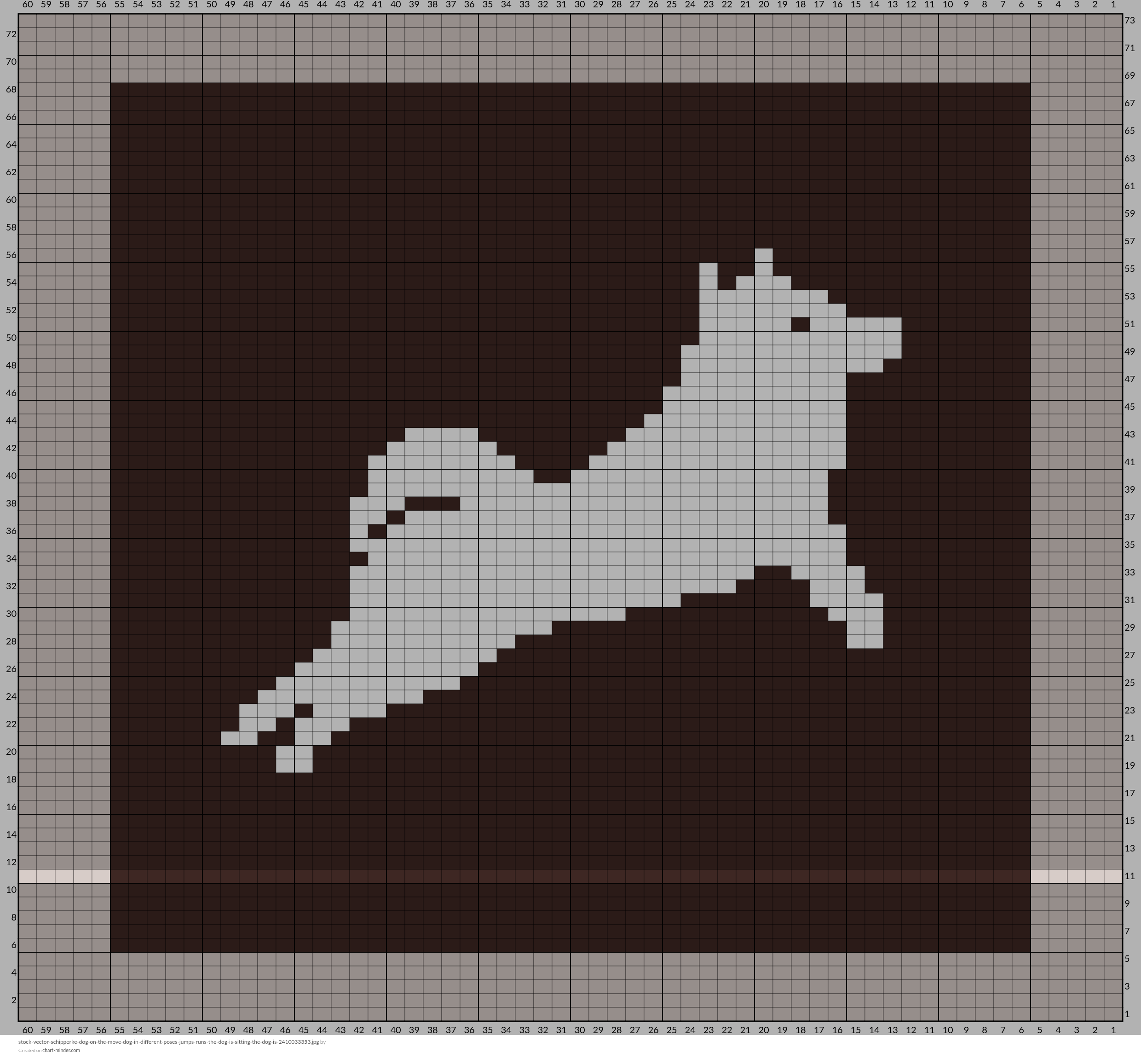 stock-vector-schipperke-dog-on-the-move-dog-in-different-poses-jumps-runs-the-dog-is-sitting-the-dog-is-2410033353.jpg