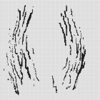 Expandingbodies 2.jpg