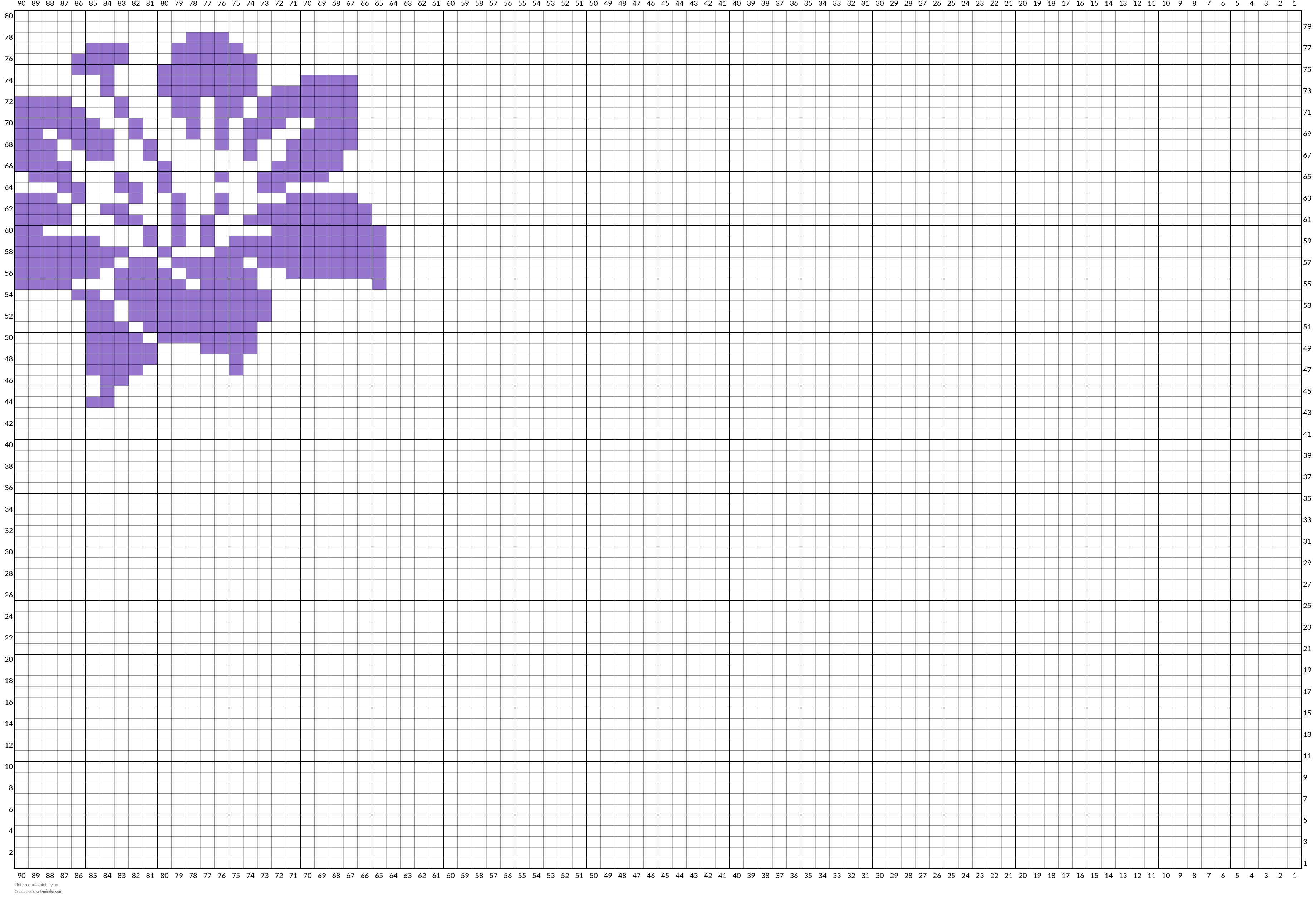 filet crochet shirt lily