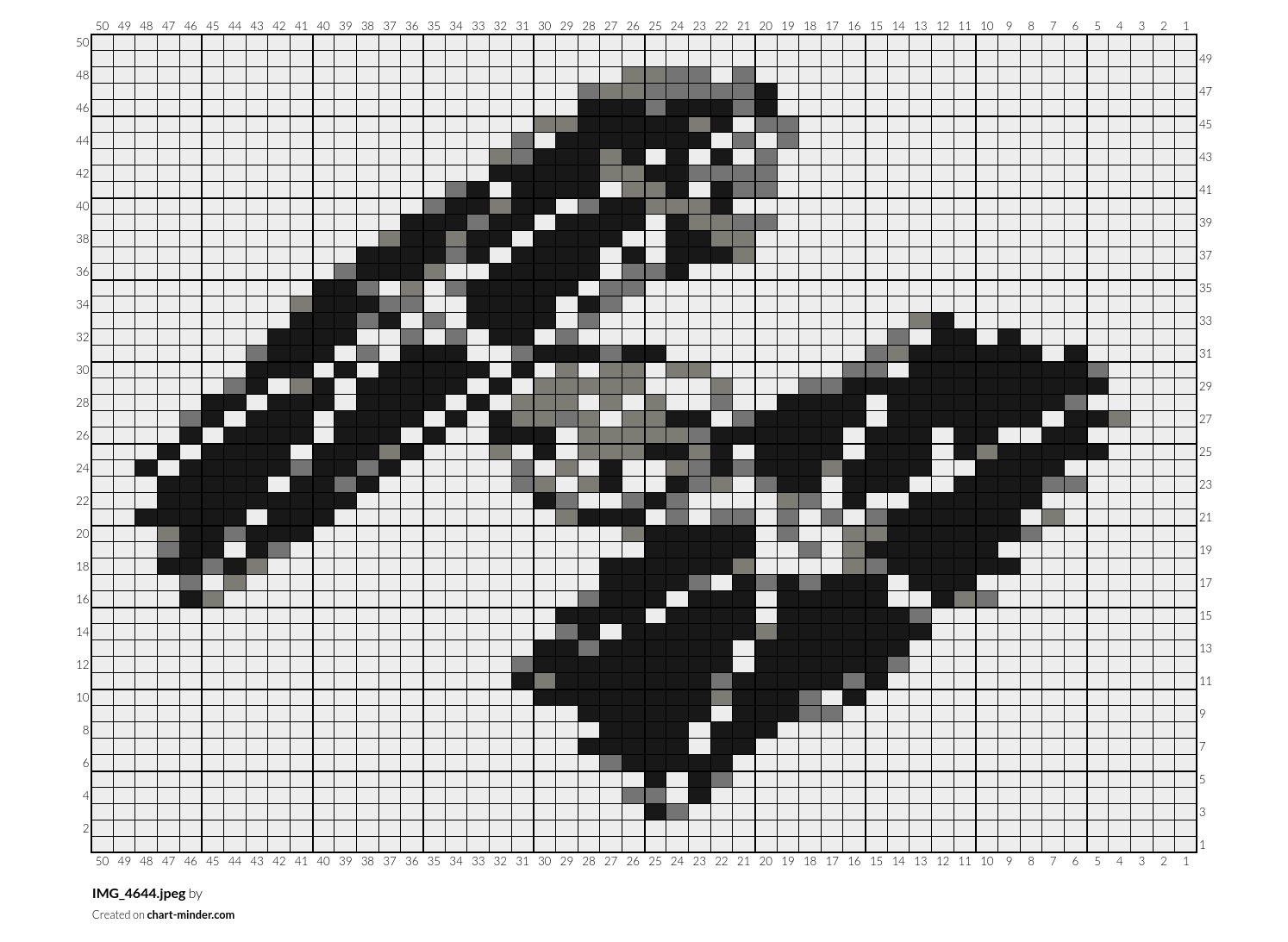 IMG_4644.jpeg