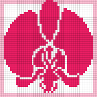 orchid