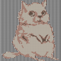 Copy of medieval cat.jpg