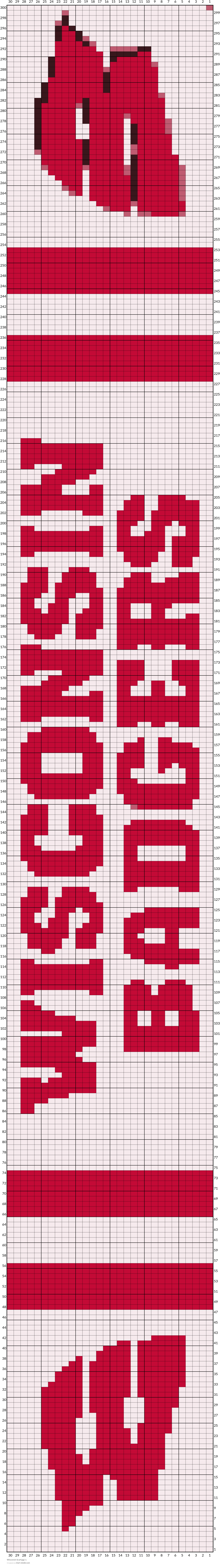 Wisconsin Scarf.jpg