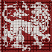 lion pattern .jpg
