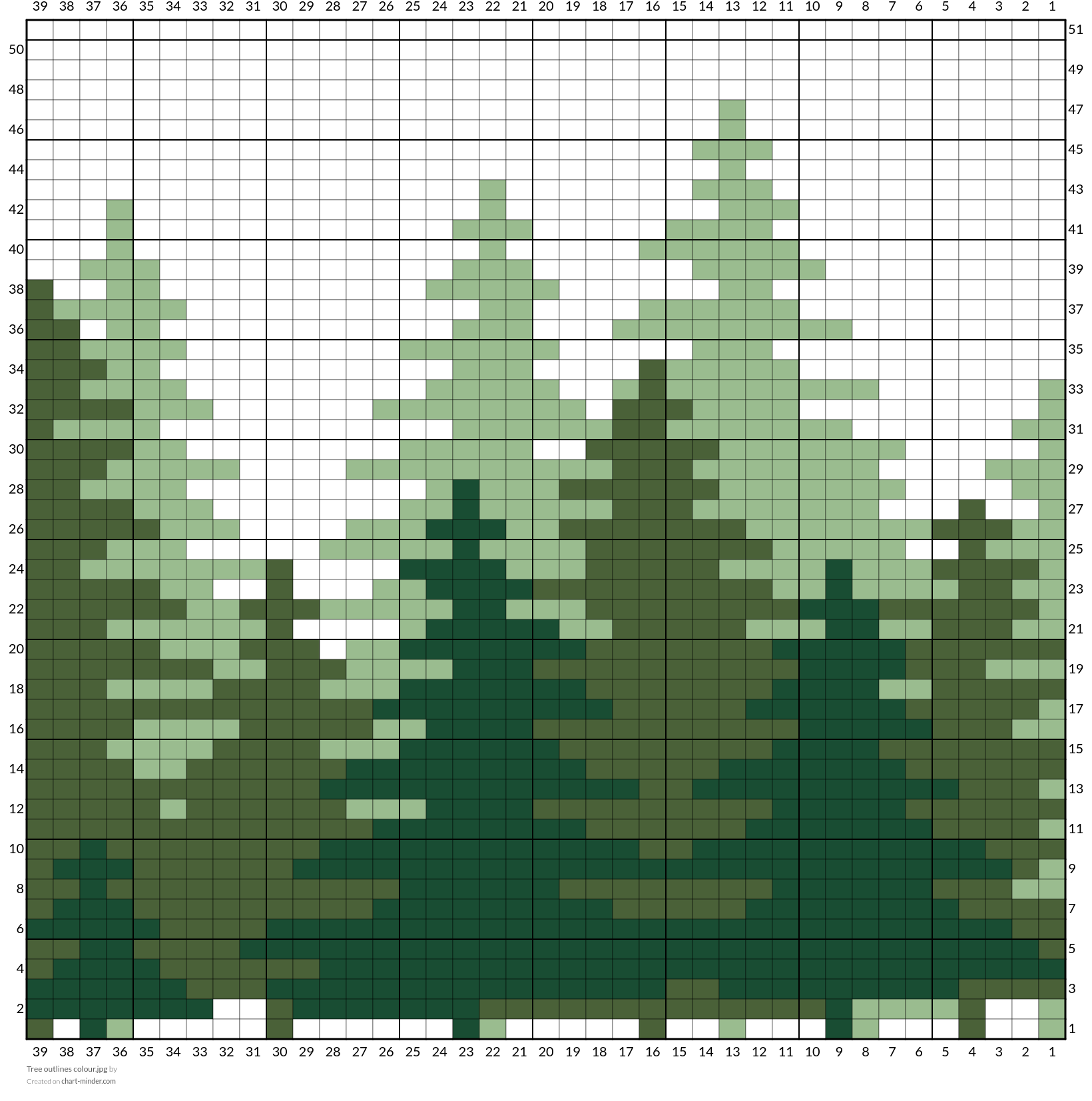 Tree outlines colour.jpg