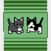 Clover and Cosmo