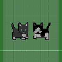 Cats with name