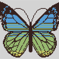 Butterfly c2
