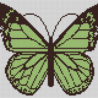Copy of Copy of Butterfly c