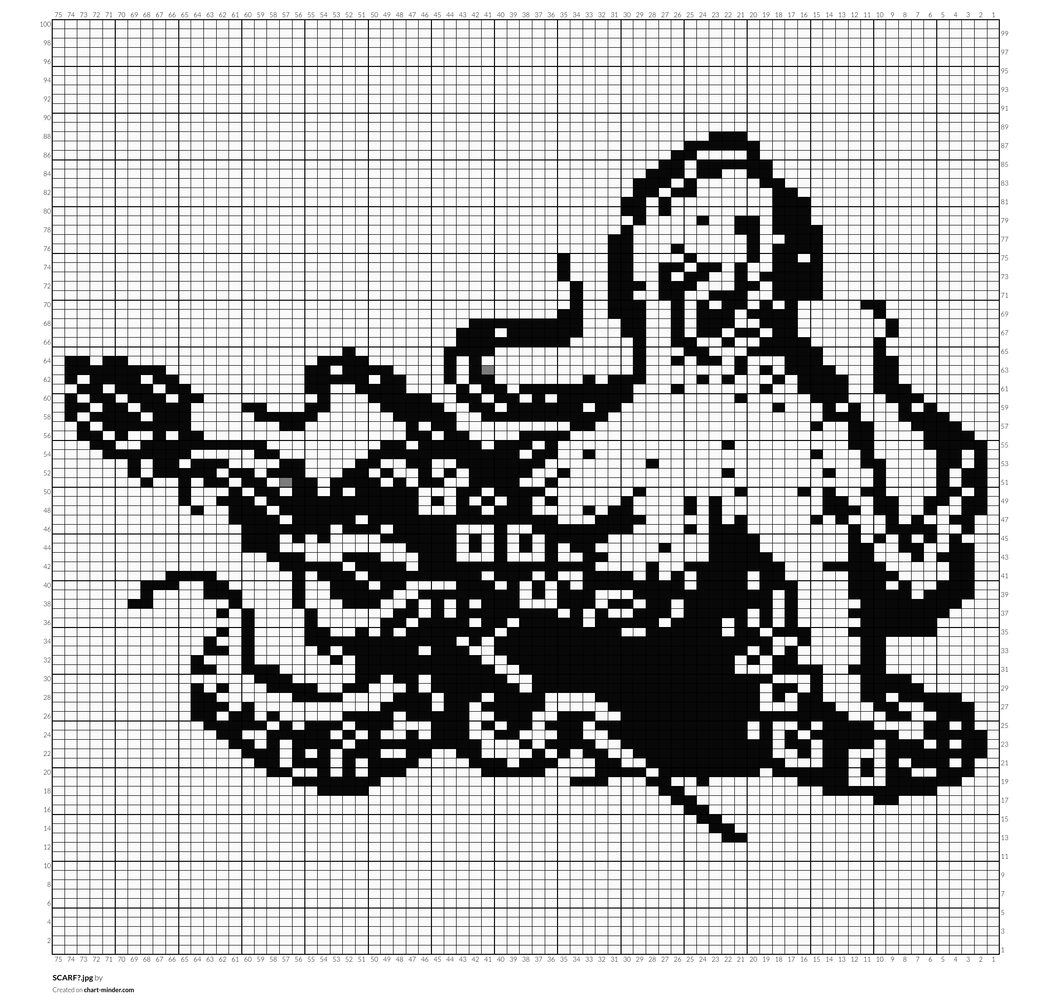 SCARF?.jpg