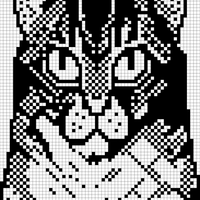 cat head 2
