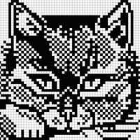 cat head 4