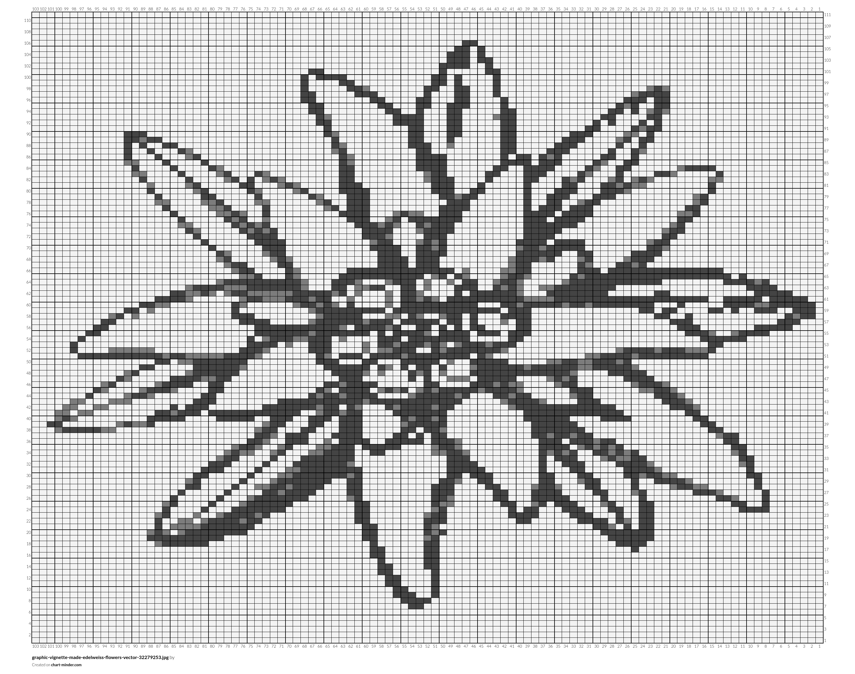 graphic-vignette-made-edelweiss-flowers-vector-32279253.jpg