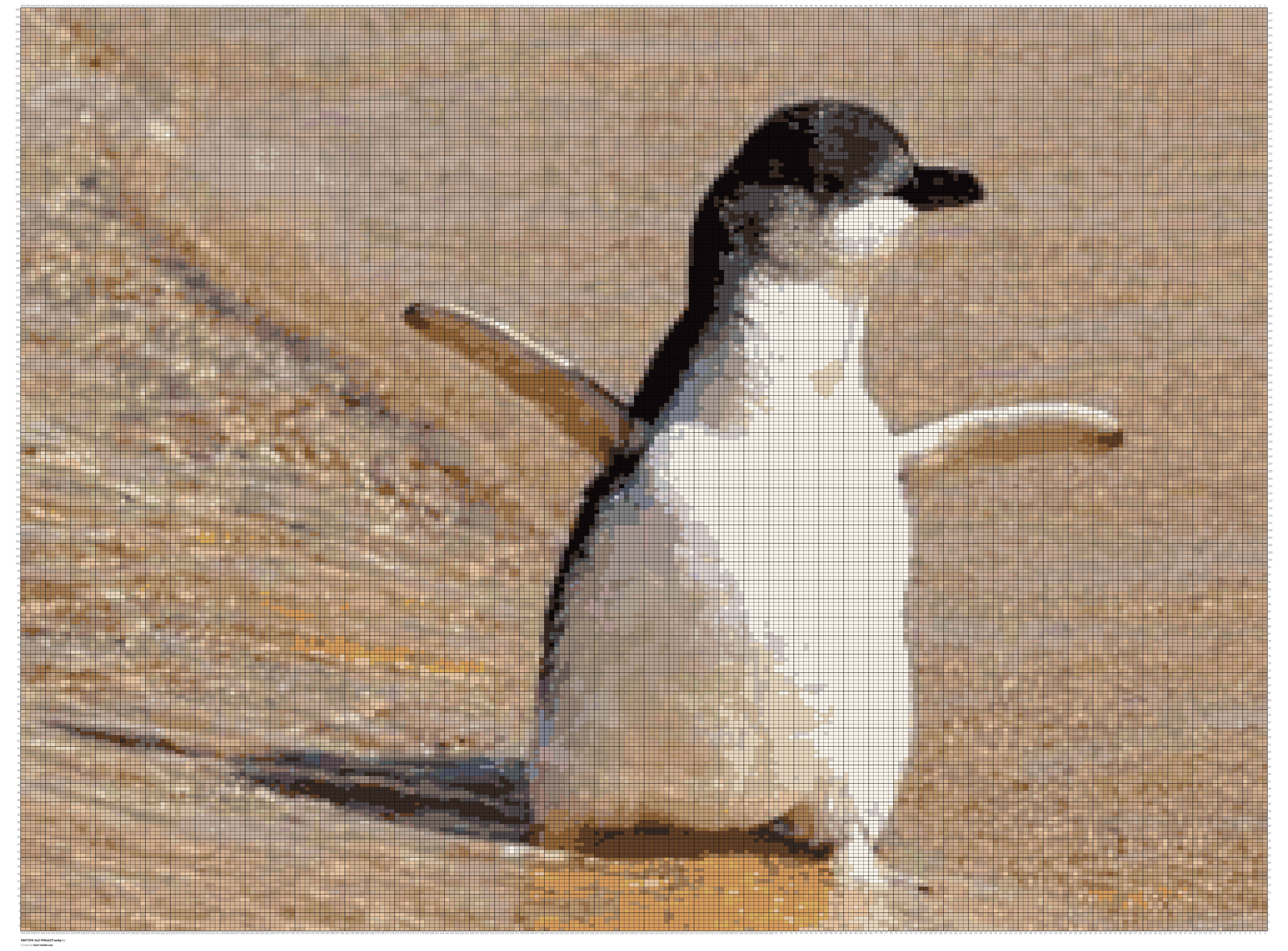 5807394-3x2-940x627.webp