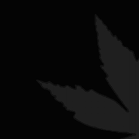 Screenshot_20250318_223311_M365 Copilot.jpg