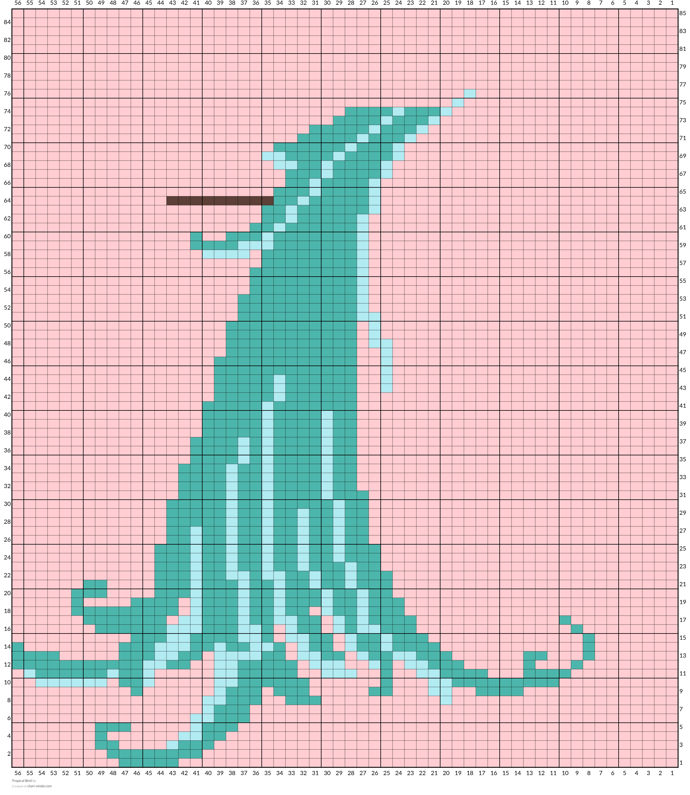 Tropical Bird