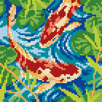 koi