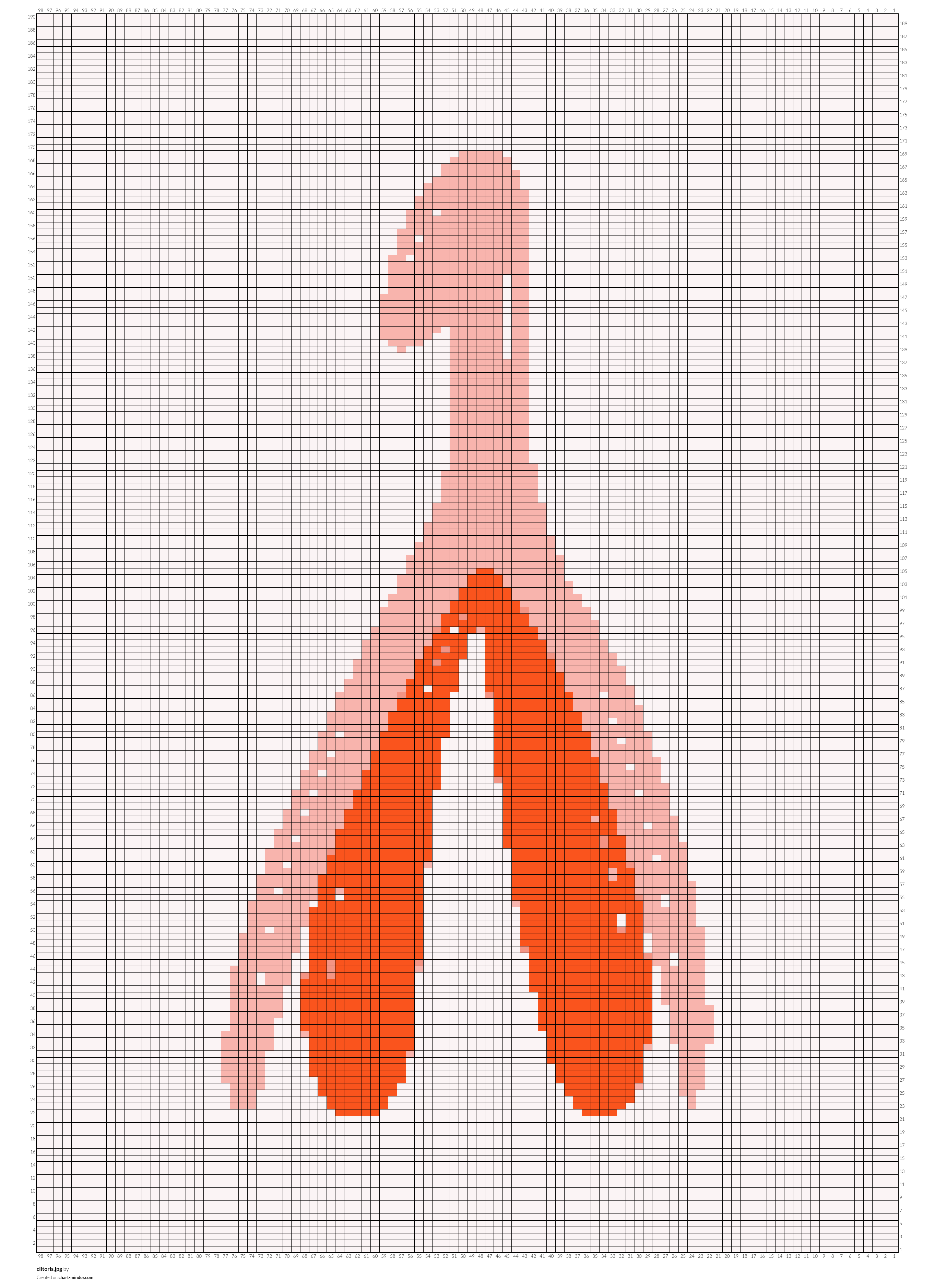 clitoris.jpg