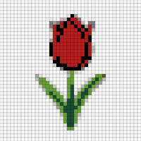 Copy of tulipan 