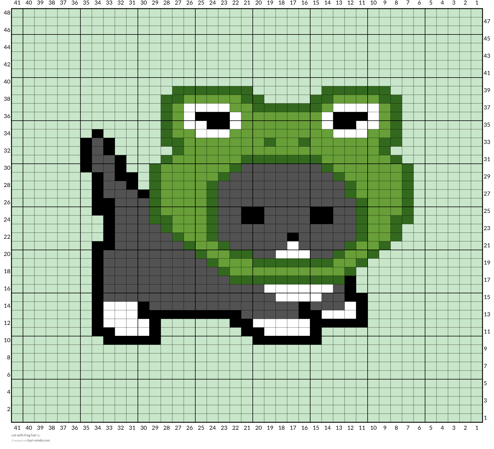 cat with frog hat