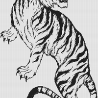 tiger 1.jpg